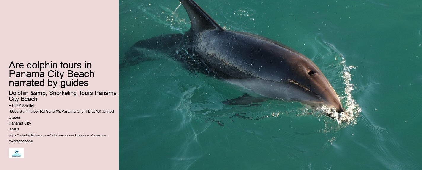 Dolphin behavior
