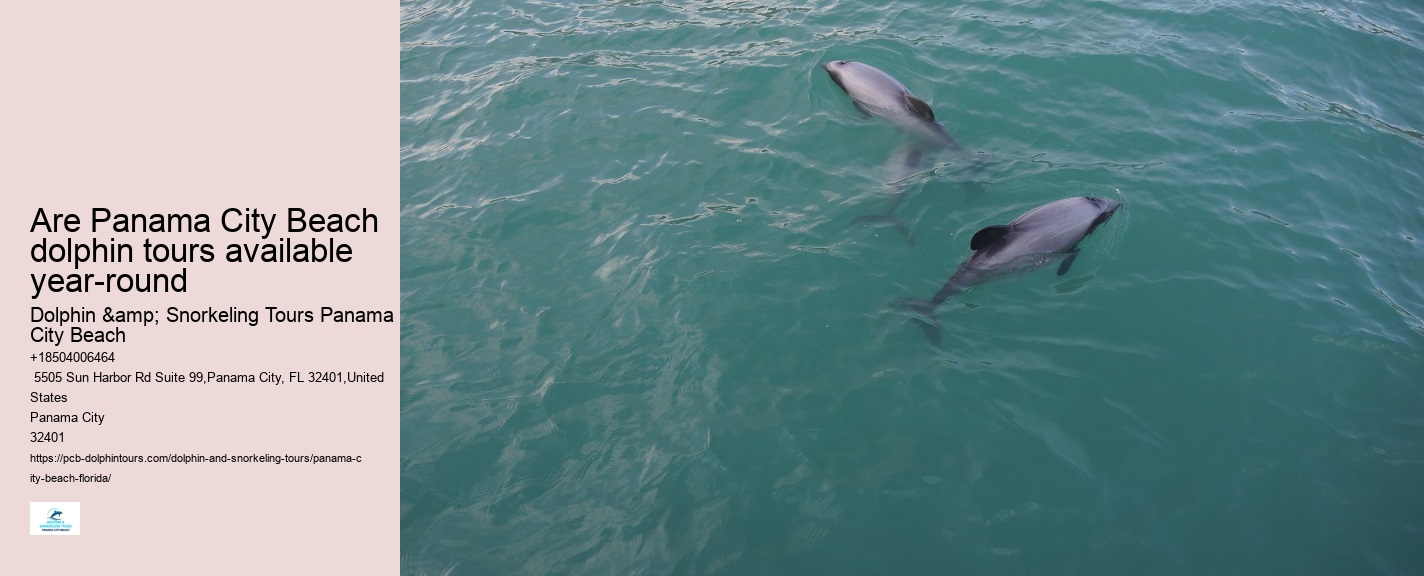 Panama City Beach dolphin spotting cruises