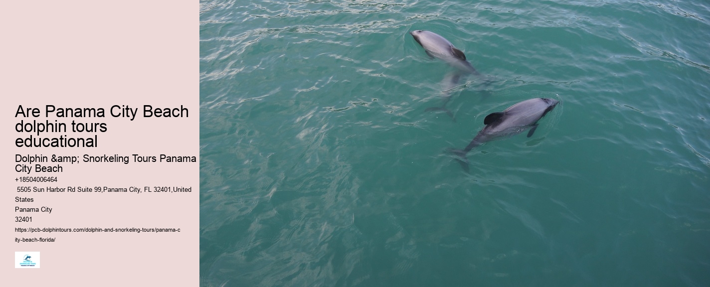 Where Can You Swim With The Dolphins In Panama City
