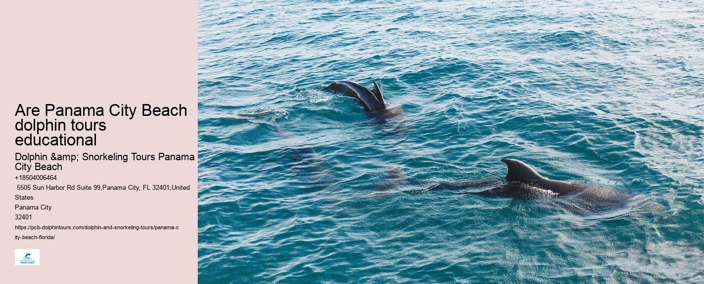 Panama City Beach Dolphin Trips