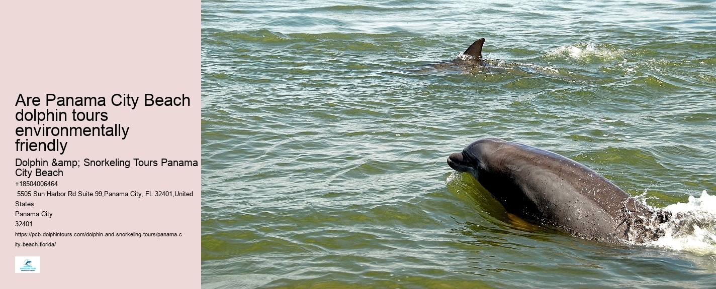 Can I request a specific guide for my dolphin tour