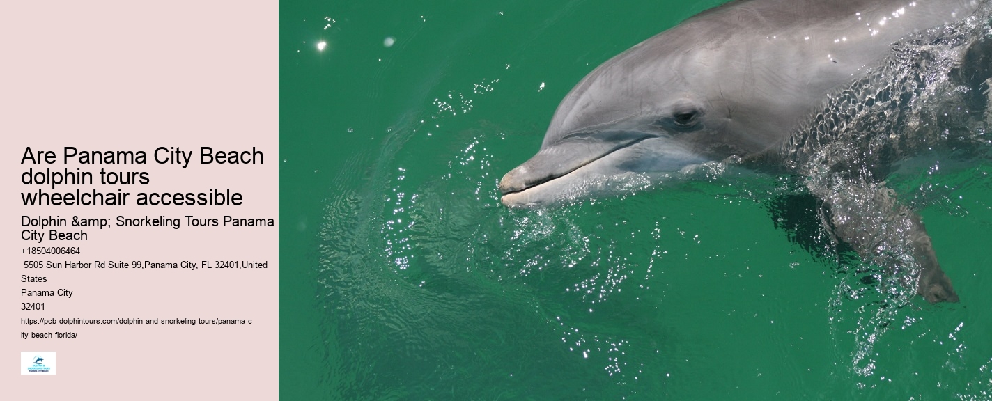Dolphin Voyage PCB