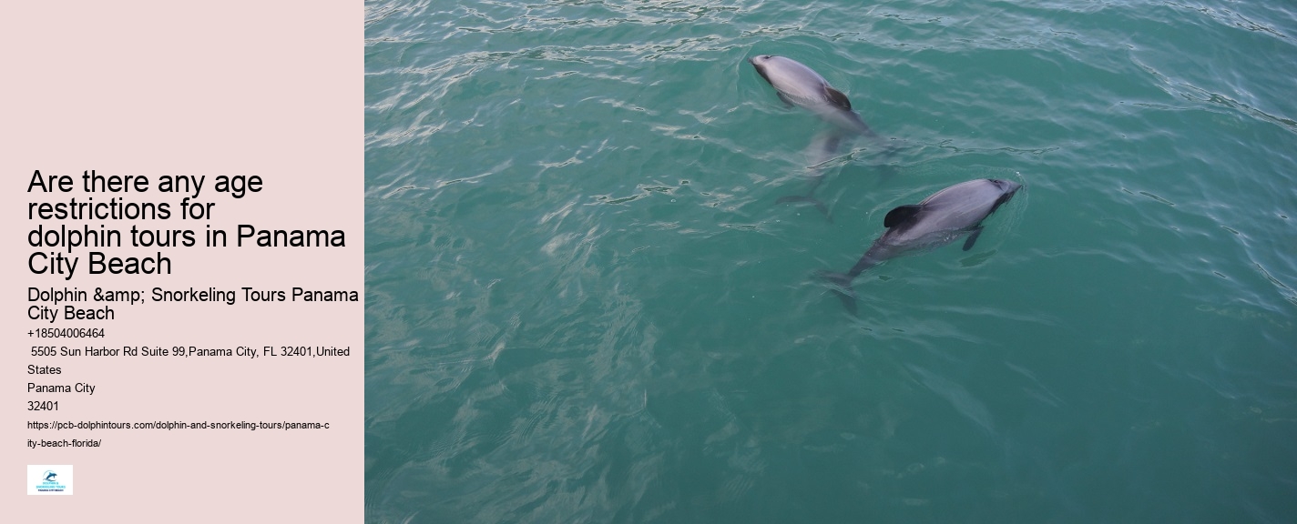 Panama City Beach Dolphin Experience Tours