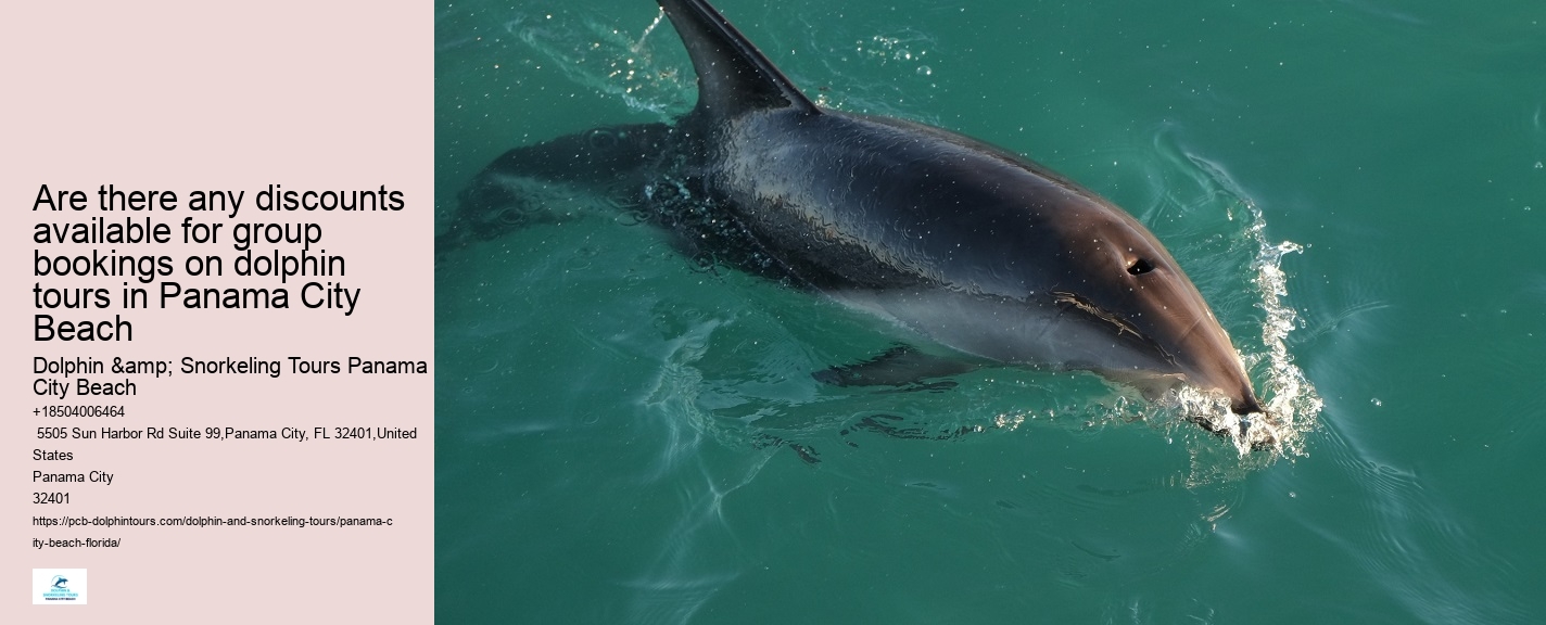 Dolphin Boat Tours Panama City Beach
