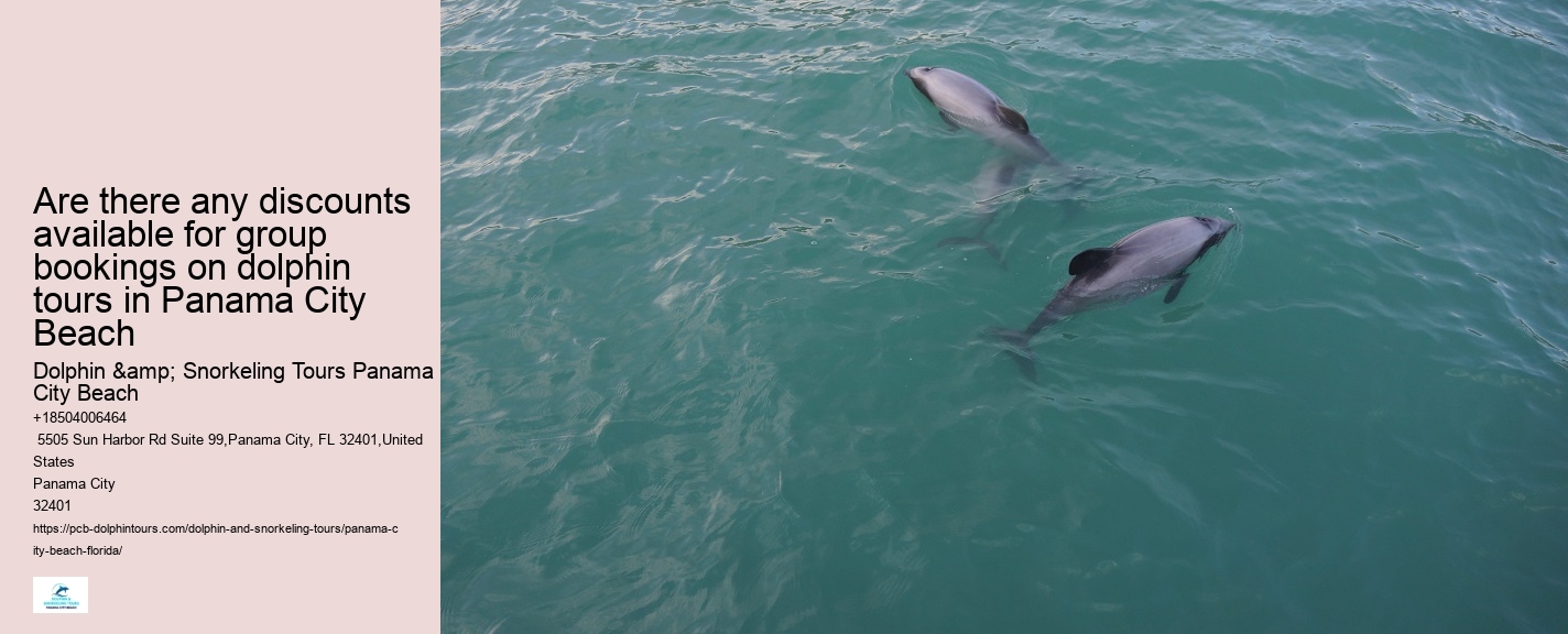 Dolphin Safari Adventures in PCB
