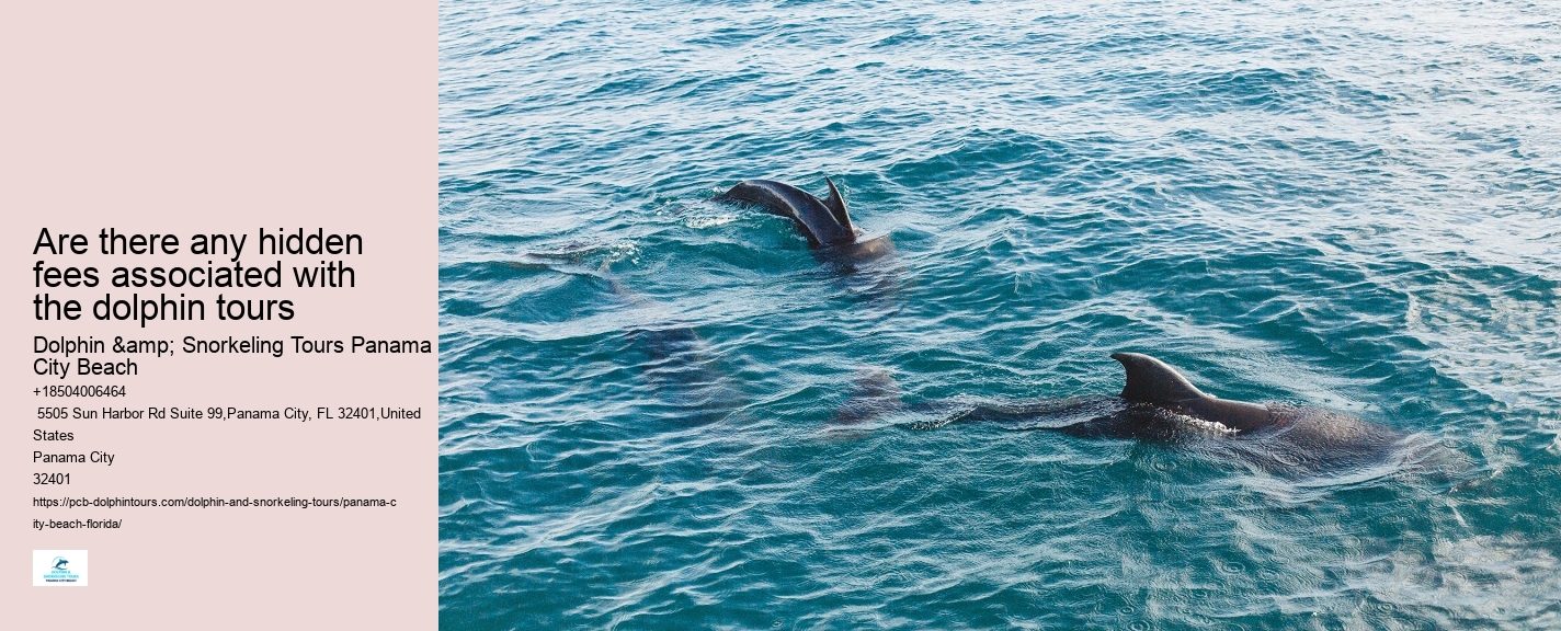 Best Dolphin Tours Panama City Beach