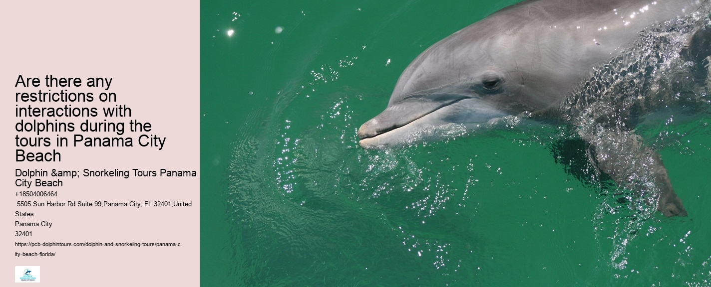 Panama City Beach dolphin safari