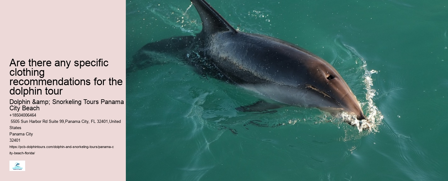 Panama City Beach dolphin adventure tours