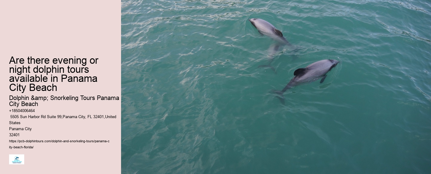 Panama City Beach marine life tours