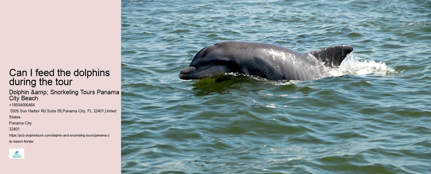 What is the cancellation policy for dolphin tours in Panama City Beach