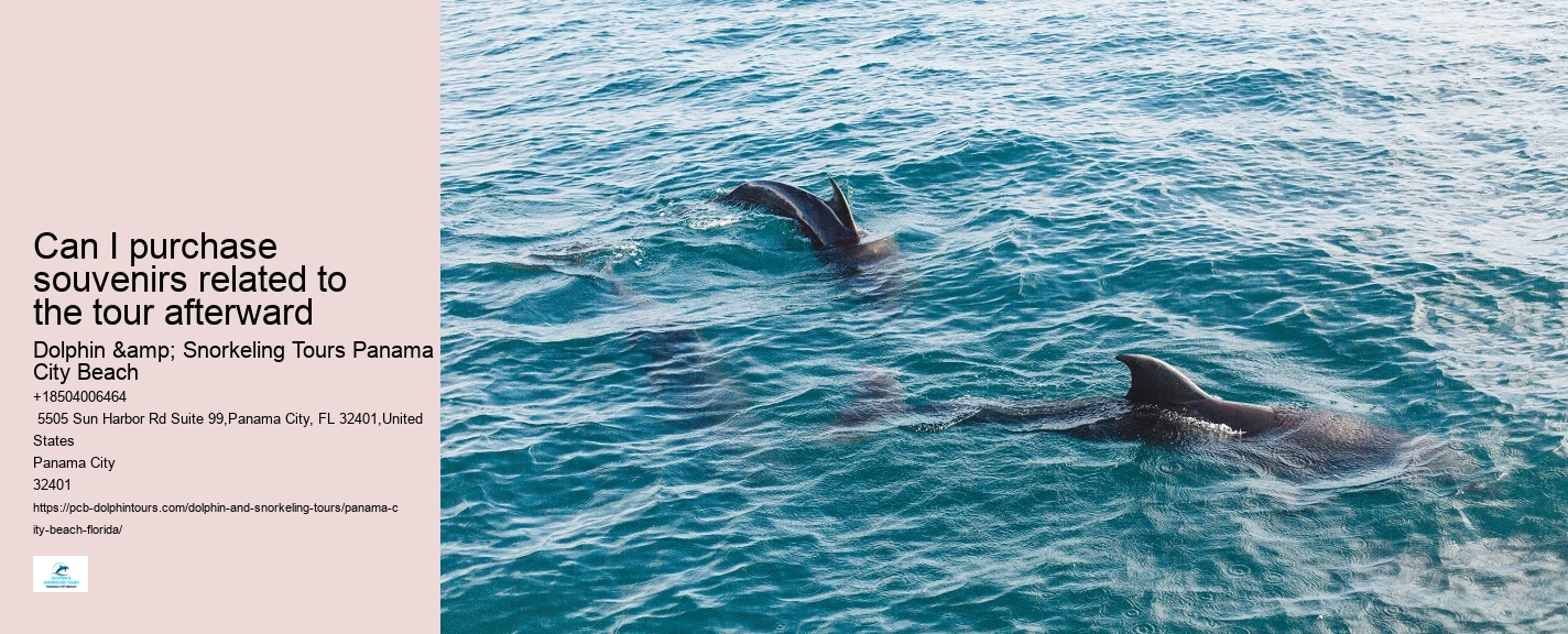 Do I need to bring my own snorkeling gear for a dolphin tour in Panama City Beach