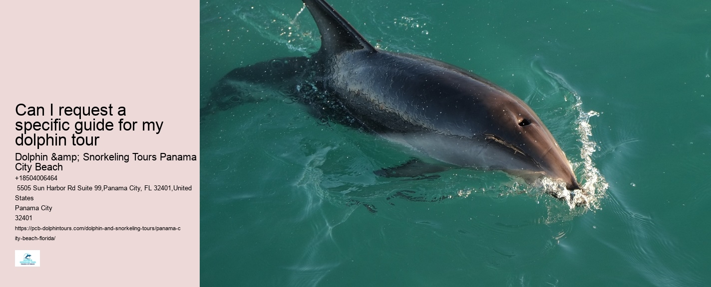 Panama City Beach Dolphin Voyage Tours