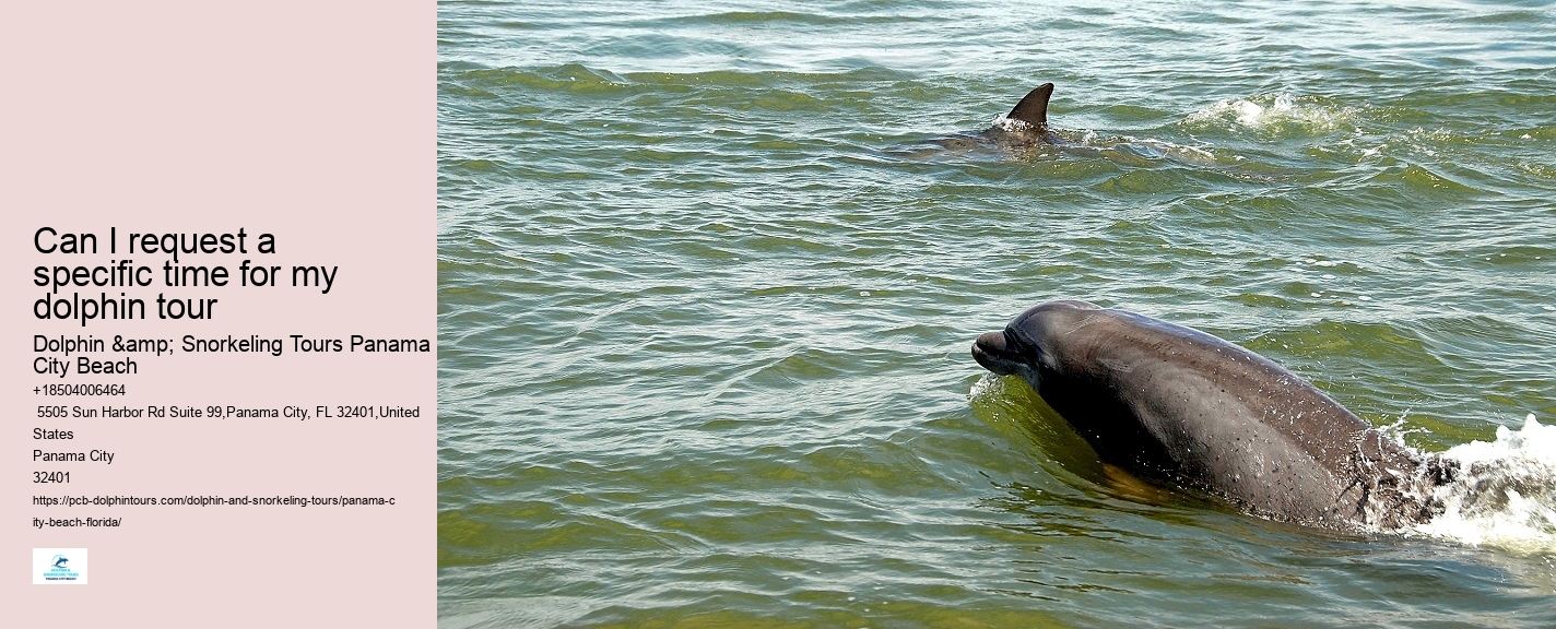Panama City Beach dolphin boat excursions