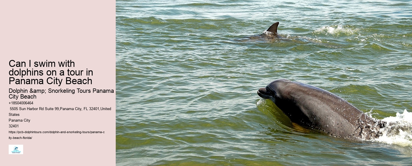 How Long Does The Dolphin Cruise Last