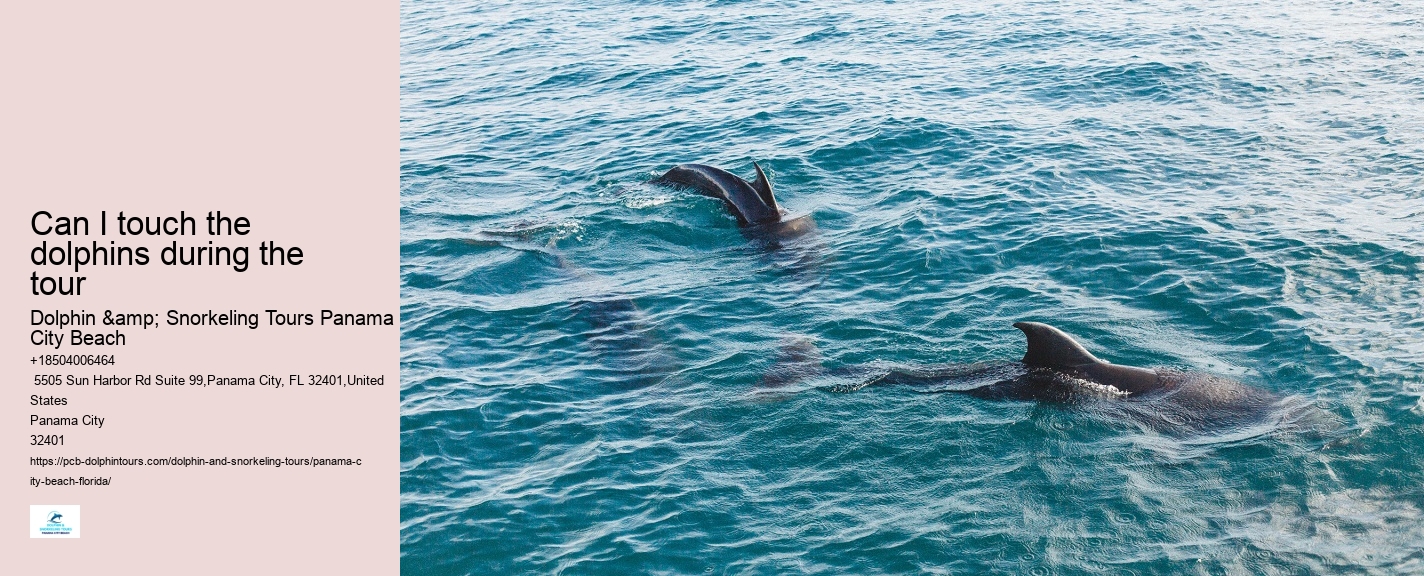 Can You Swim With Dolphins In Panama