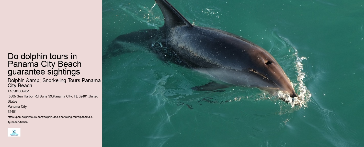 Are Panama City Beach dolphin tours environmentally friendly