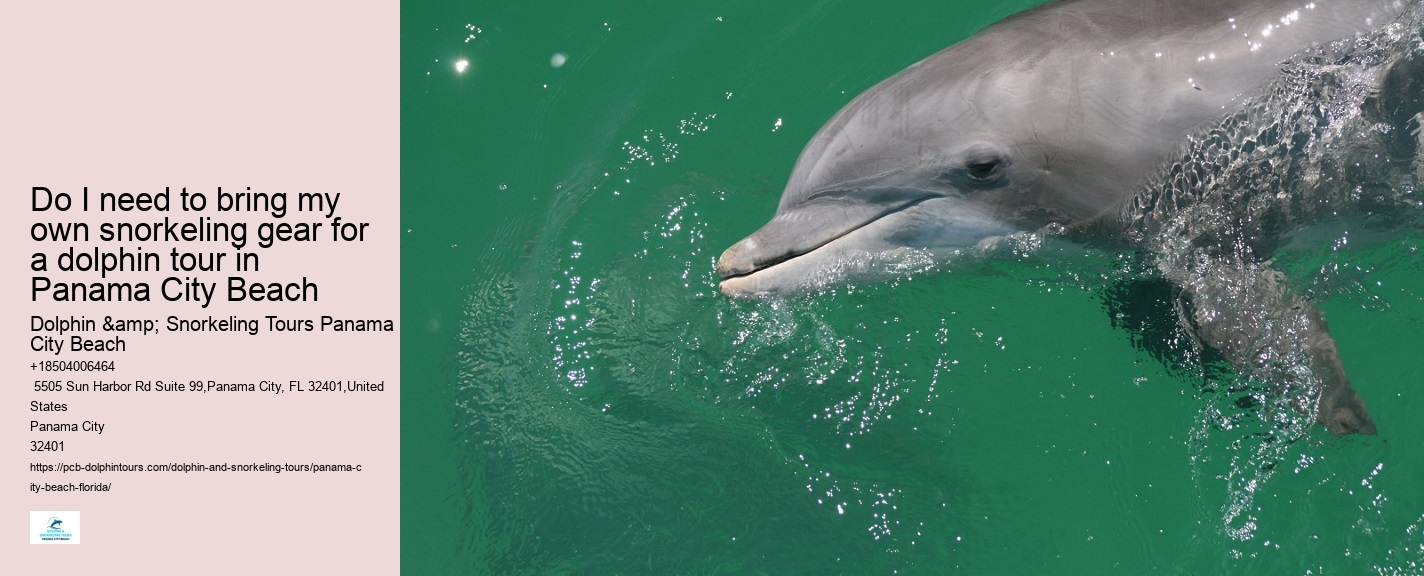Dolphin tours at Panama City Beach