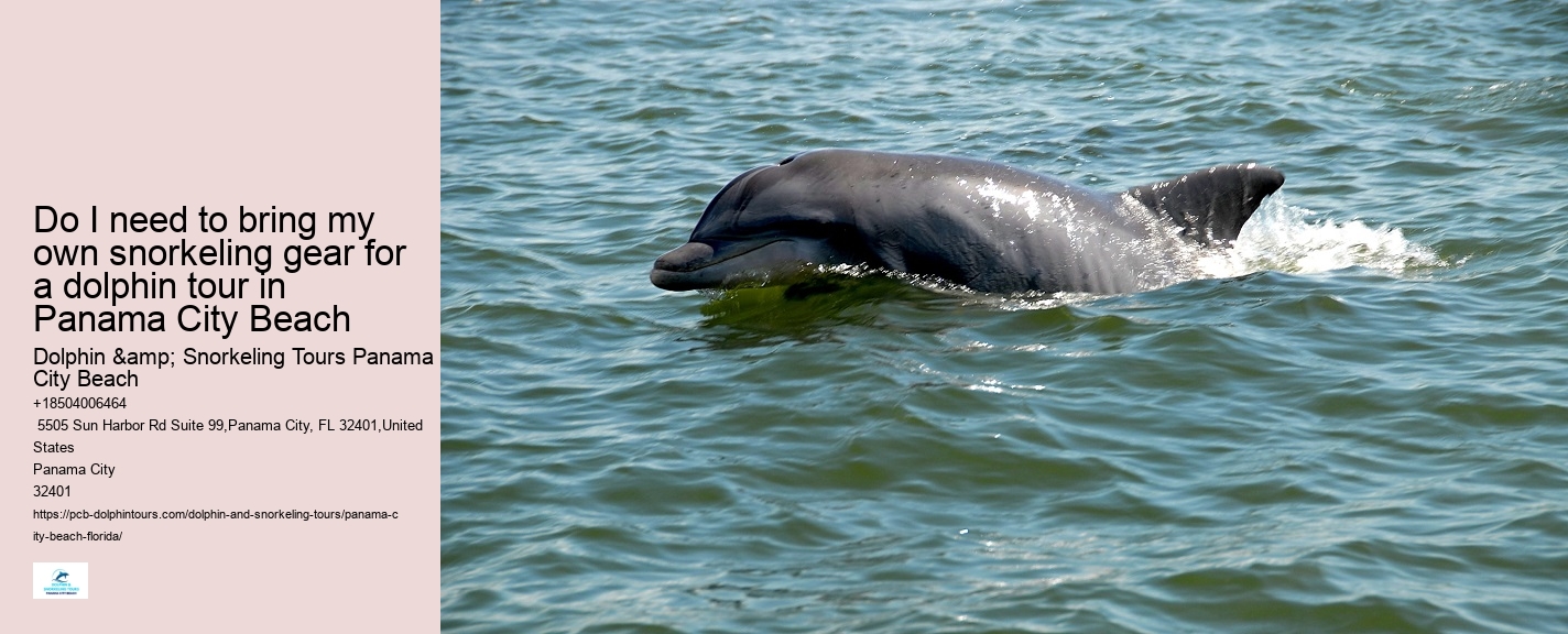Blue Dolphin Tours Panama City Beach Fl