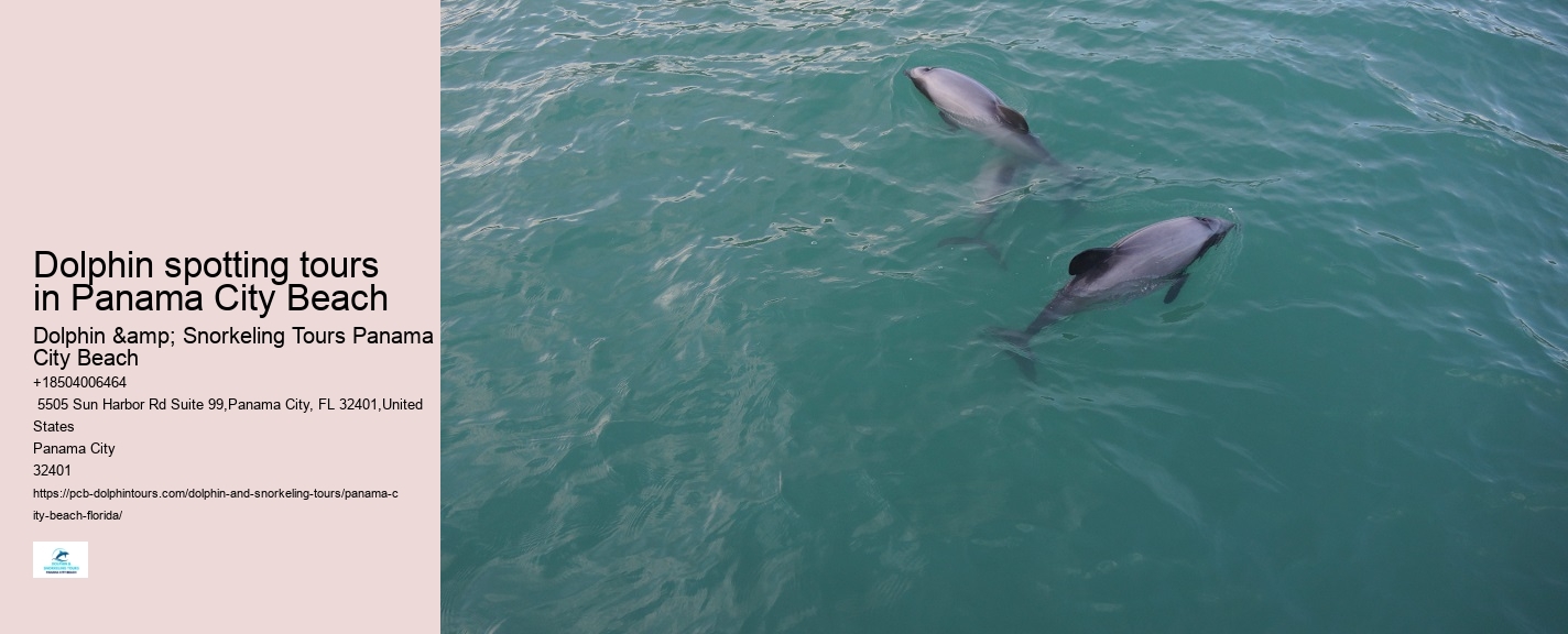 Panama City Dolphin