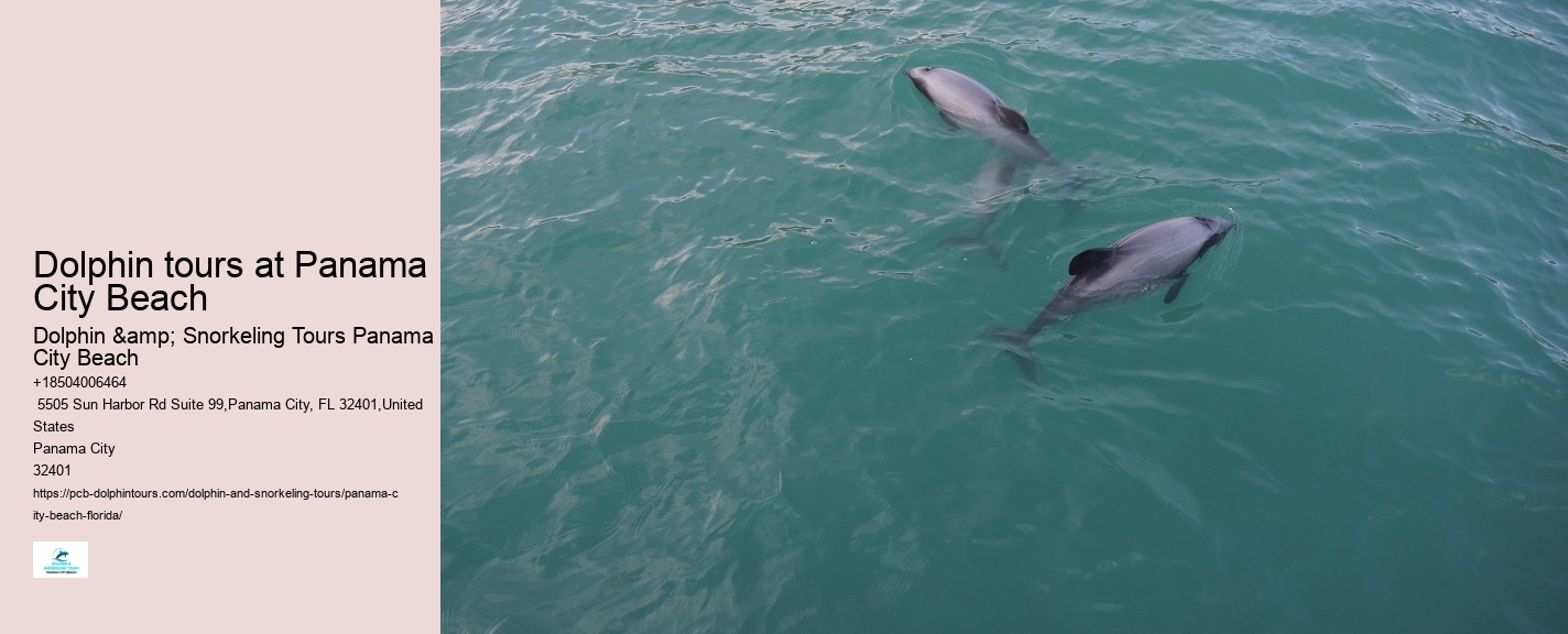 Can I request a specific guide for my dolphin tour