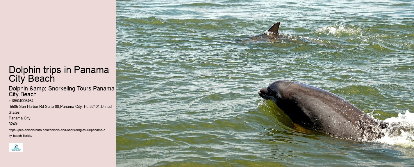 Dolphin boat tours at Panama City Beach