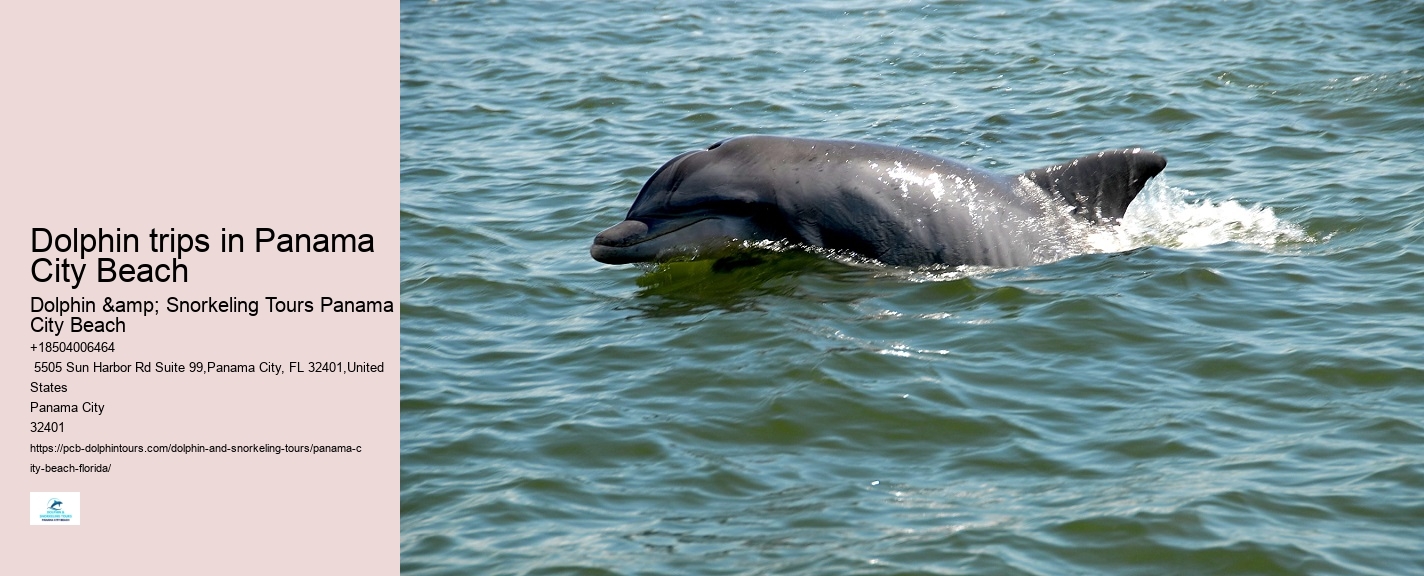 Wildlife photography