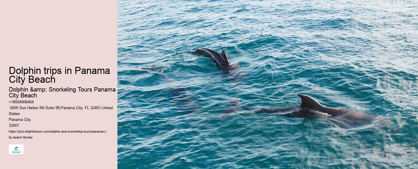 Dolphin encounters at Panama City Beach