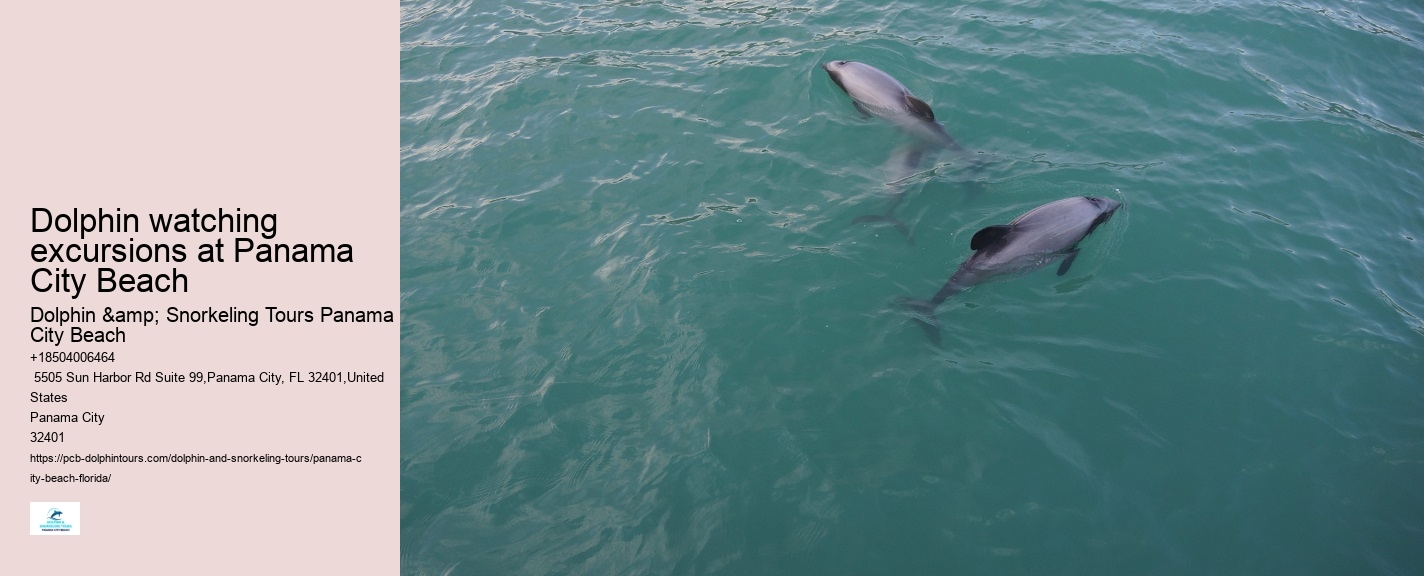 Dolphin Discovery Tours PCB
