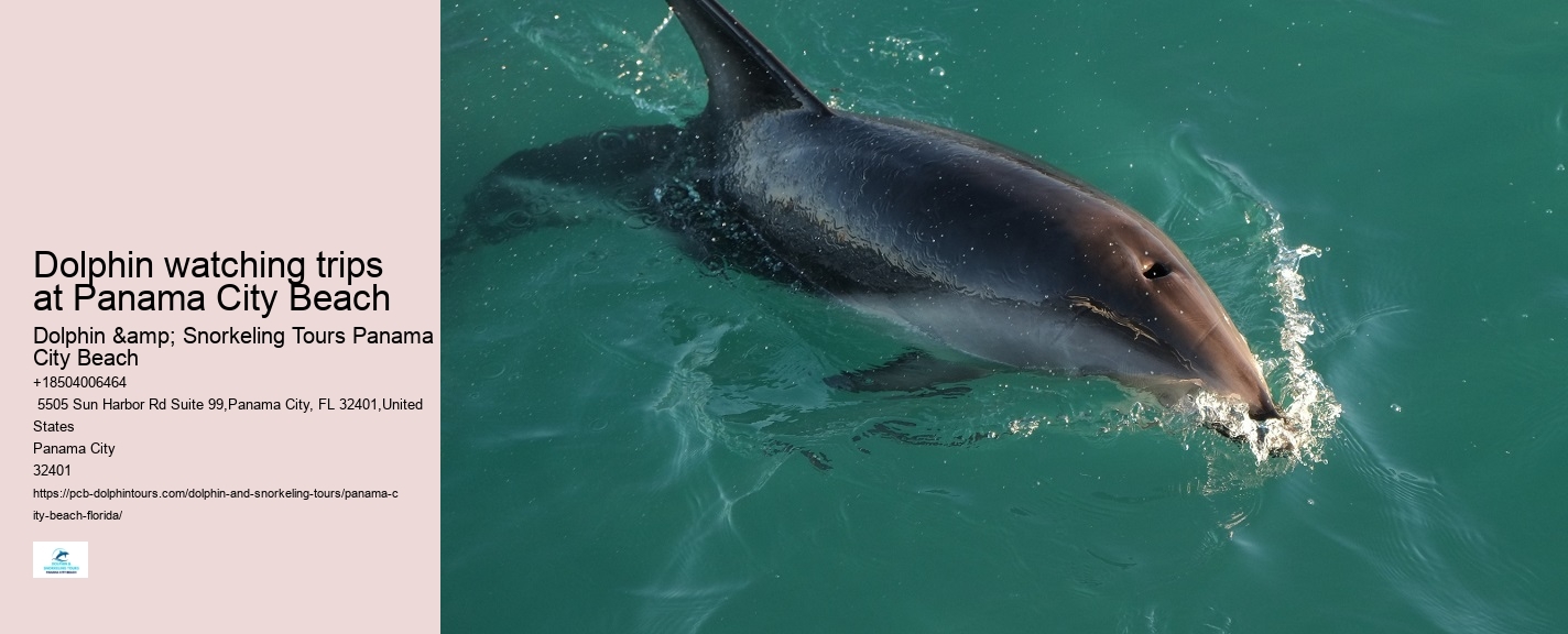 Are there any discounts available for group bookings on dolphin tours in Panama City Beach