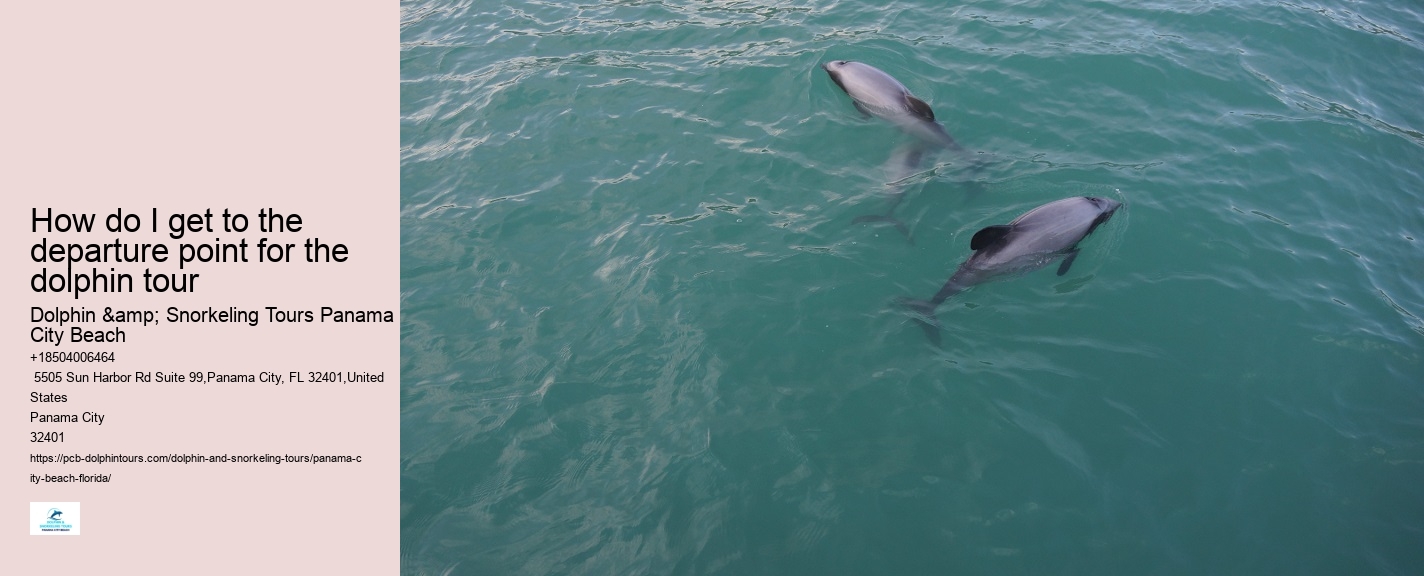 Dolphin spotting tours in Panama City Beach