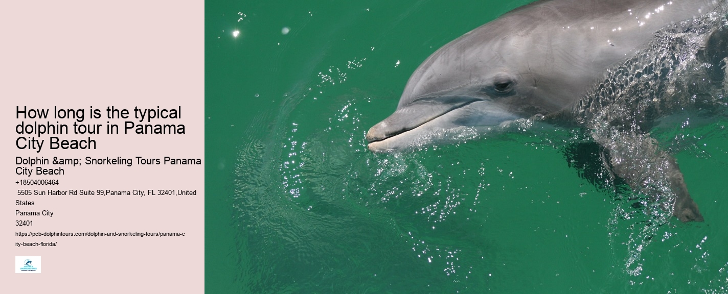 Panama City Beach Florida Boat Tours