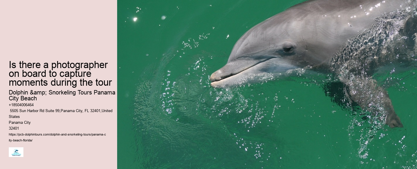Panama City Beach dolphin sightseeing cruises