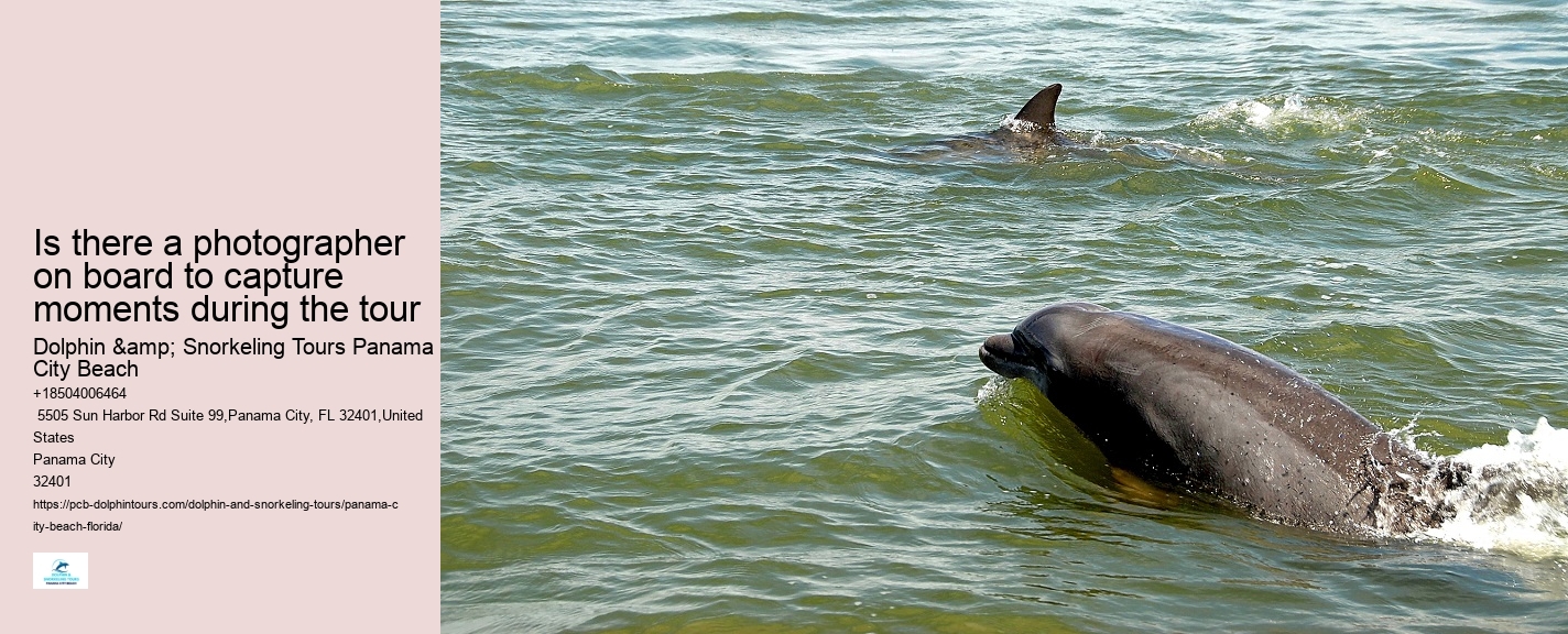 How Much Does Dolphin Cove Cost
