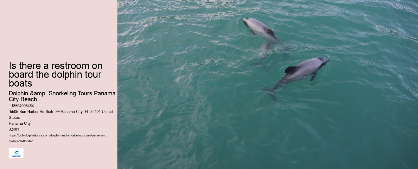 What Should I Bring To Dolphin Cove