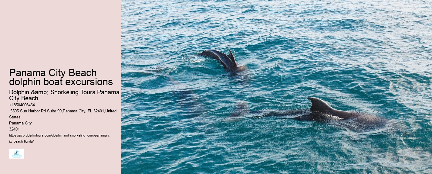 Panama City Beach Dolphin Adventure Cruises