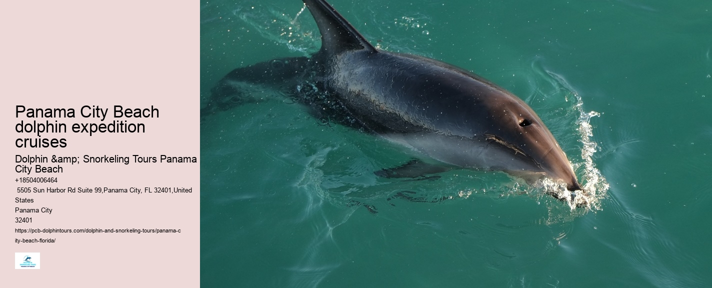 Do I need to bring my own snorkeling gear for a dolphin tour in Panama City Beach