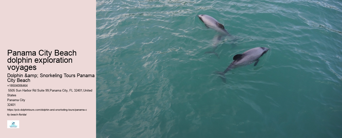 Shell Island Dolphin Tours Panama City Beach