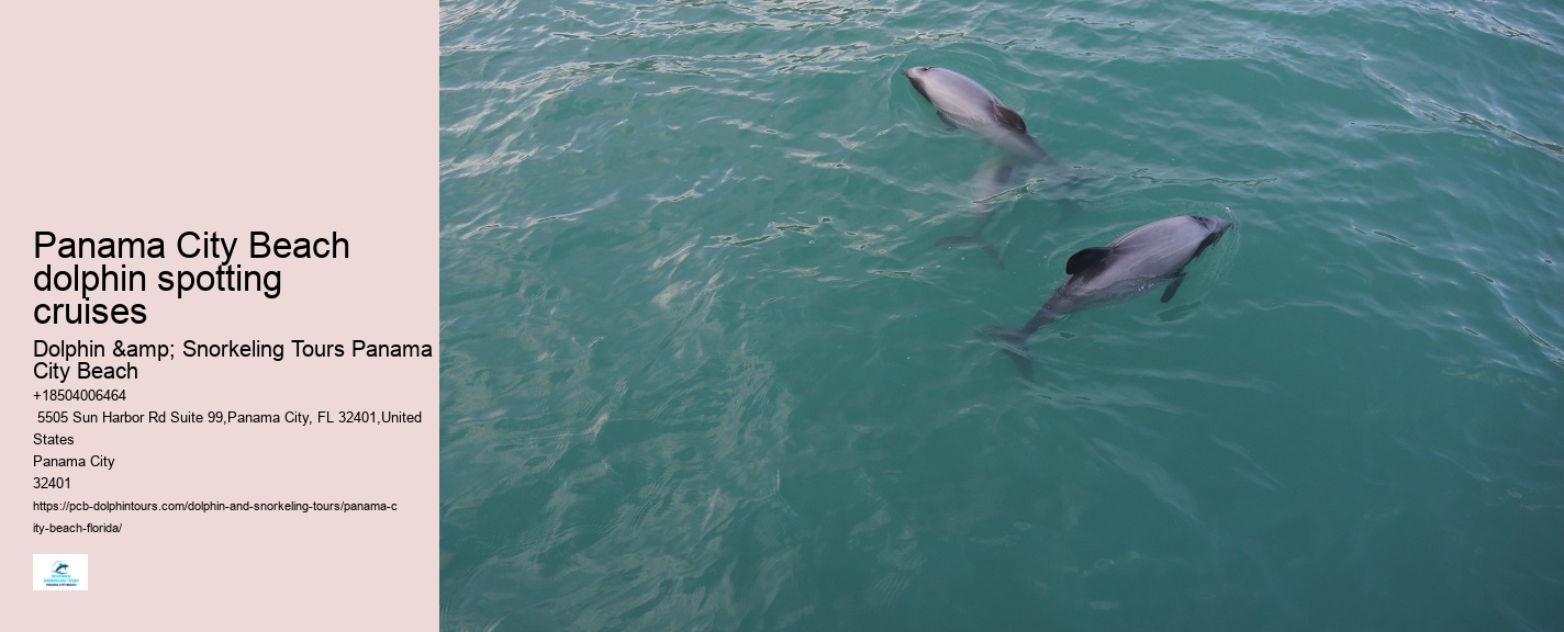 Dolphin Tours In Panama City Florida