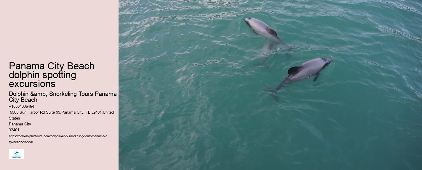 PCB Dolphin Spotting Tours