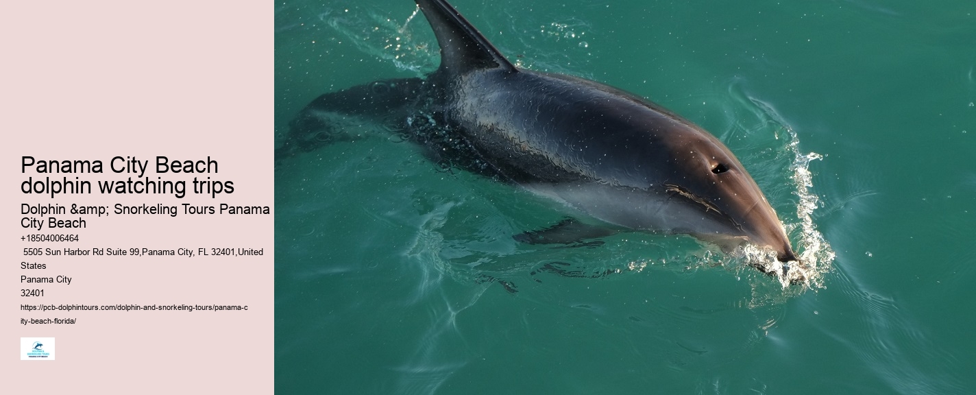 Panama City Beach Dolphin Sunset Cruise