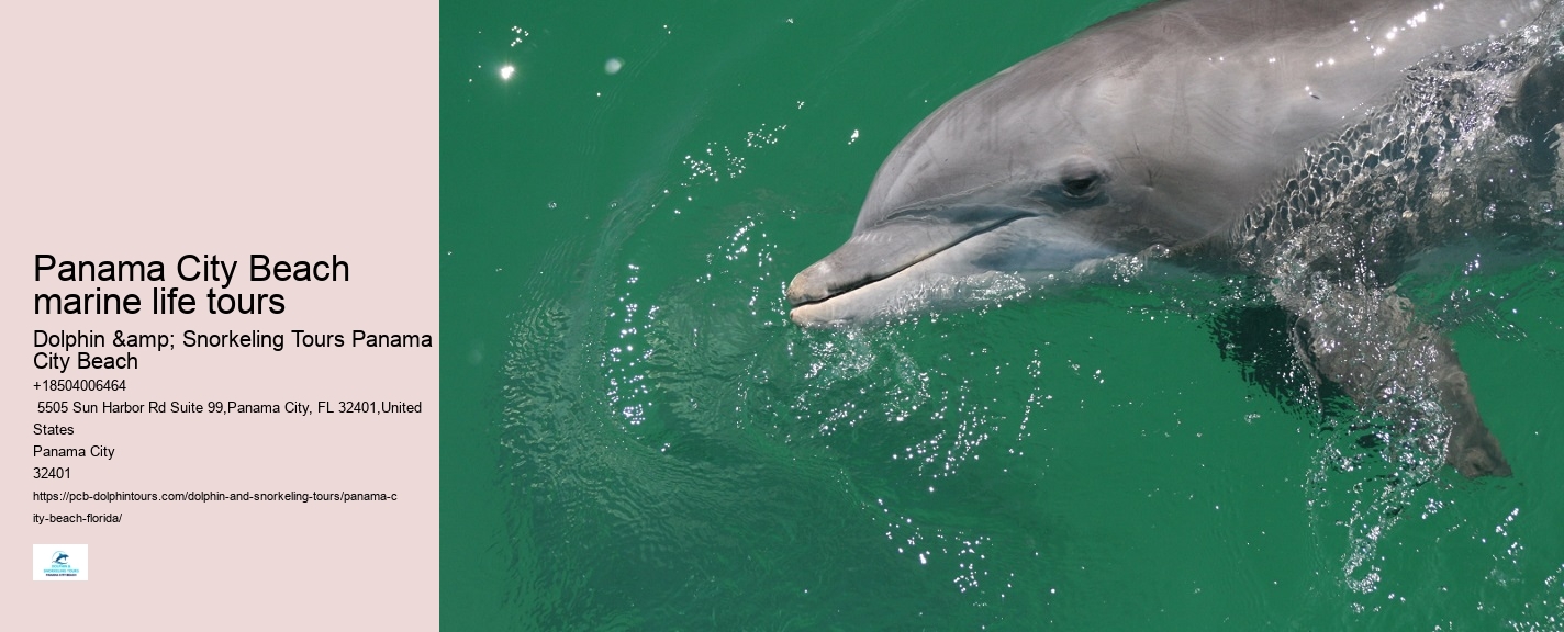 Gulf of Mexico