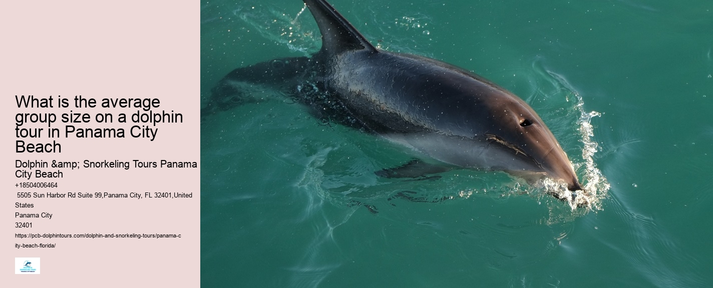 Panama City Beach Dolphin Sightseeing