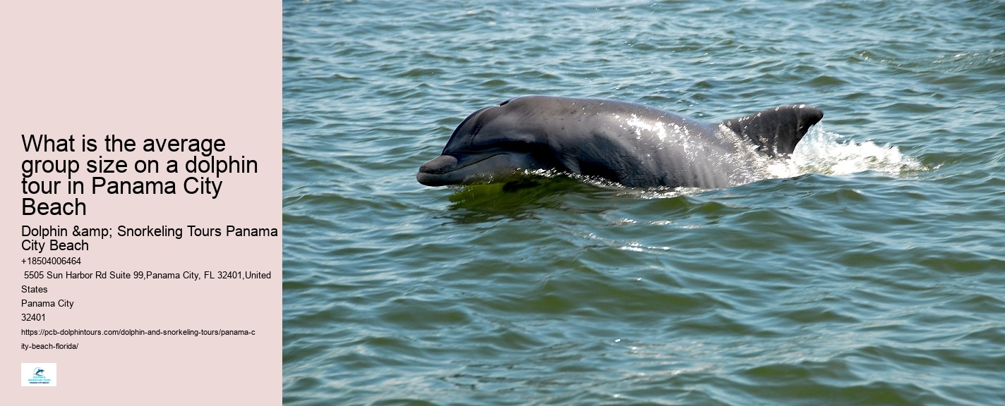 Dolphin And Snorkel Tours Panama City Beach