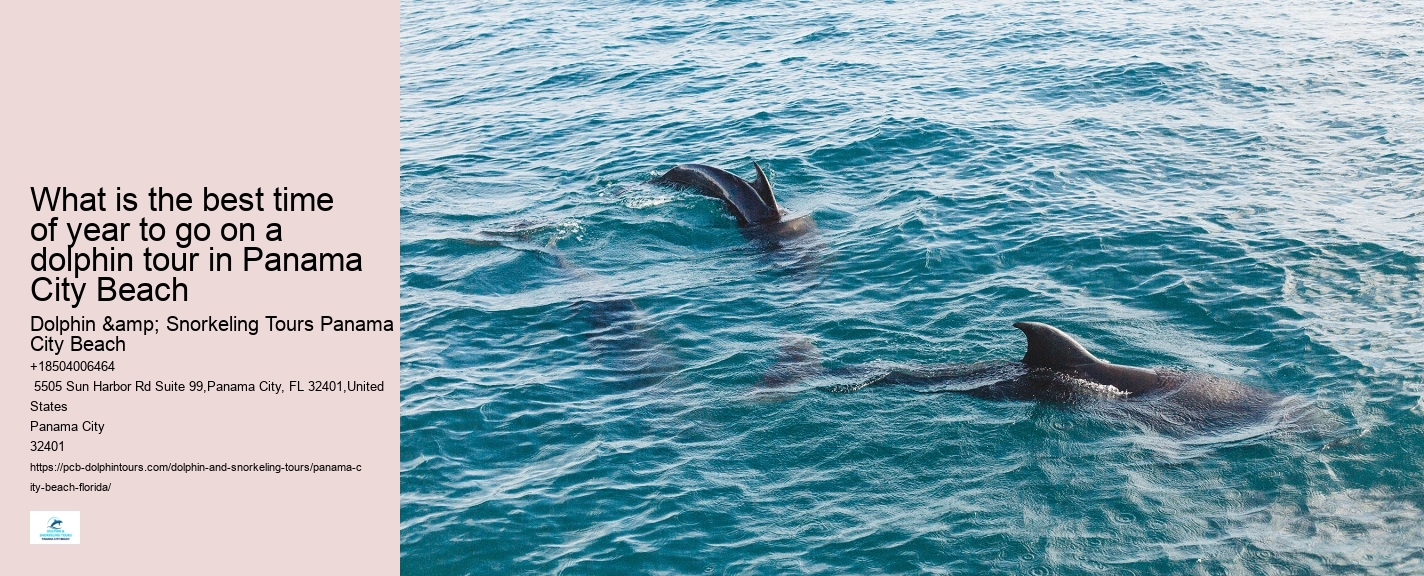 Are Dolphins At Panama City Beach