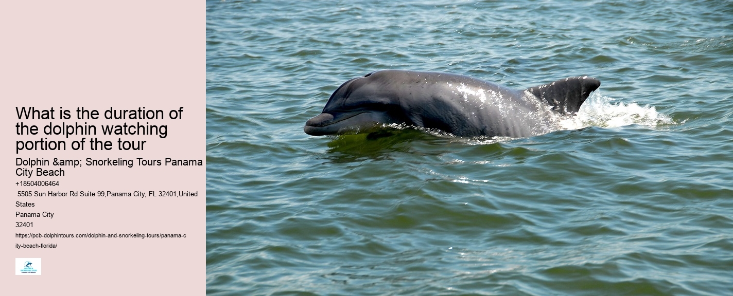 Marine Mammals