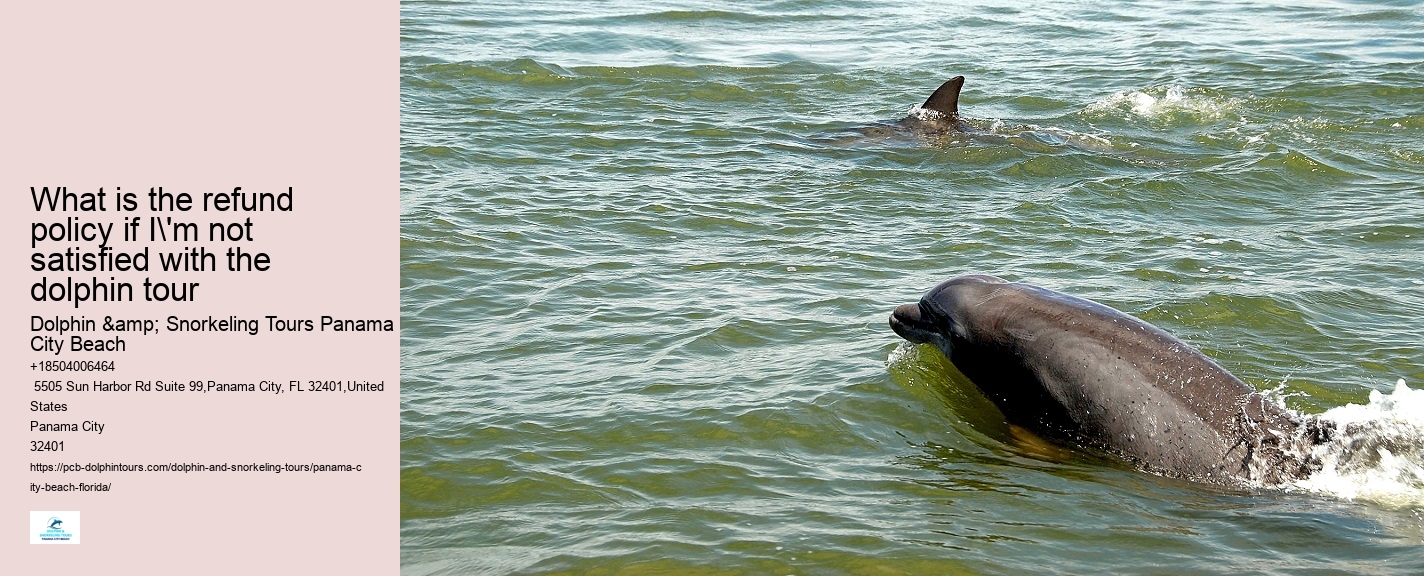 Beach Dolphin
