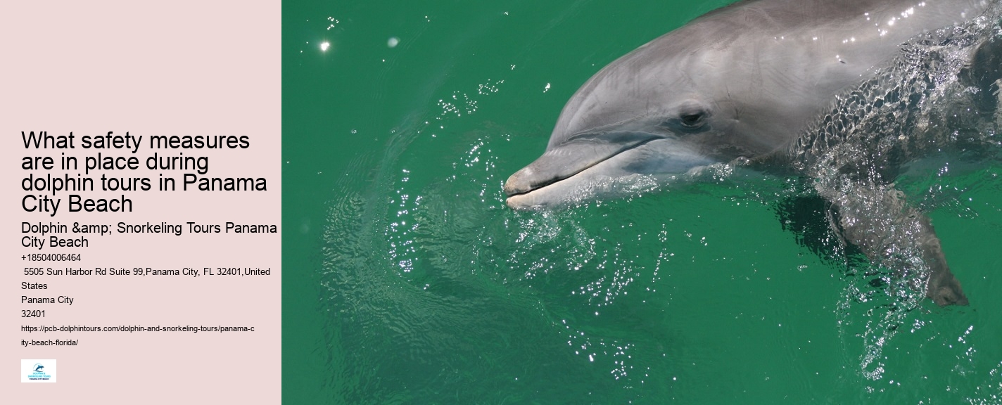PCB Dolphin Discovery Voyages