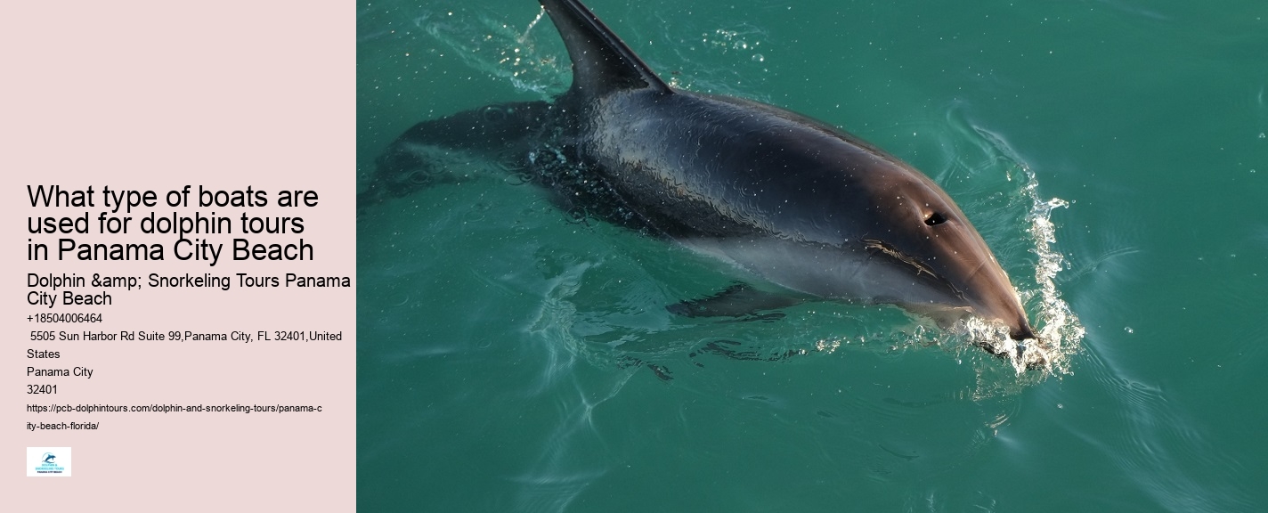 Best Panama City Beach Boat Tours